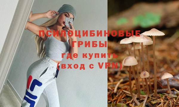 СК Абинск