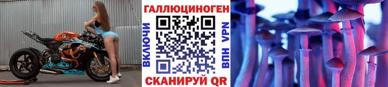 Галлюциногенные грибы Cubensis Черкесск